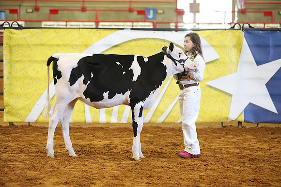 East Texas State Fair - Dairy Show-340