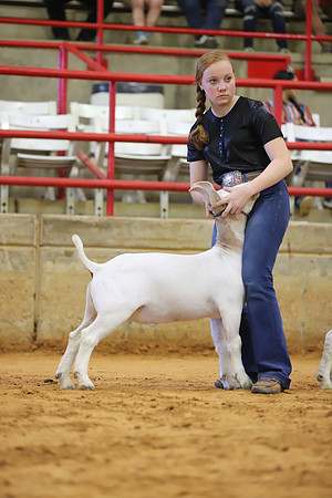 East Texas State Fair - Goat Show-022
