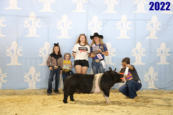 lot 141