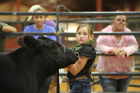 East Texas State Fair - Steer Show-008