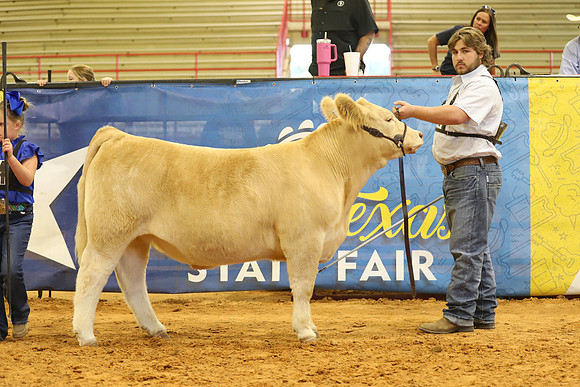 East Texas State Fair - Steer Show-025
