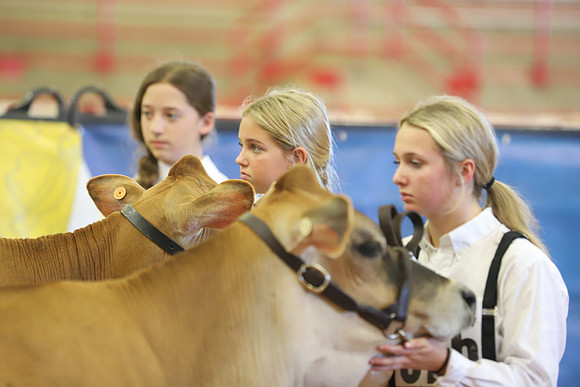 East Texas State Fair - Dairy Show-123