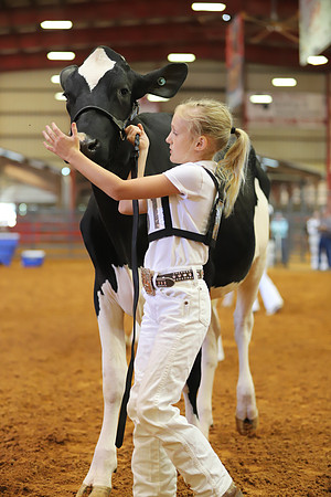 East Texas State Fair - Dairy Show-288