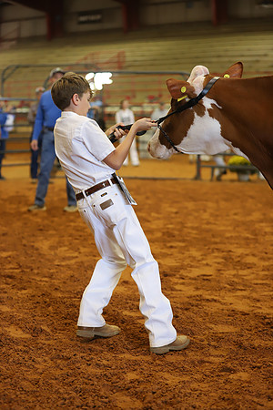 East Texas State Fair - Dairy Show-320