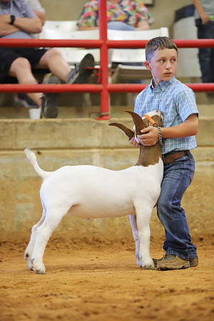 East Texas State Fair - Goat Show-118