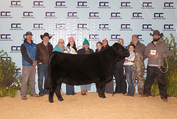 Cattle Backdrop 16