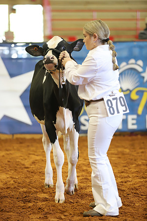 East Texas State Fair - Dairy Show-336