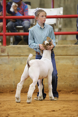 East Texas State Fair - Goat Show-053