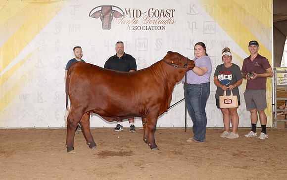 Midcoast 4
