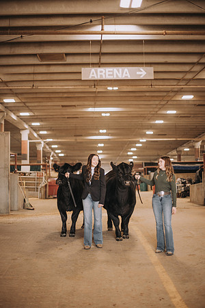Groom-2