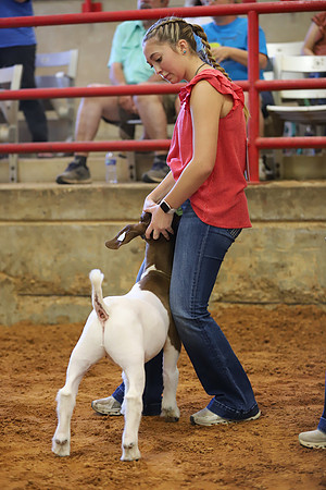 East Texas State Fair - Goat Showmanship-079