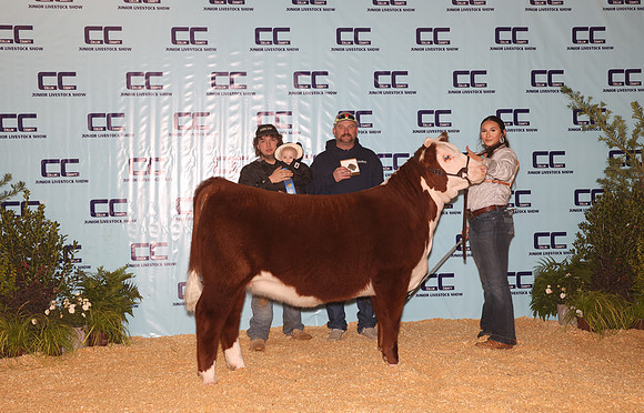 Cattle Backdrop 3