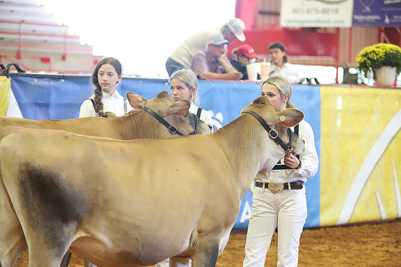 East Texas State Fair - Dairy Show-126