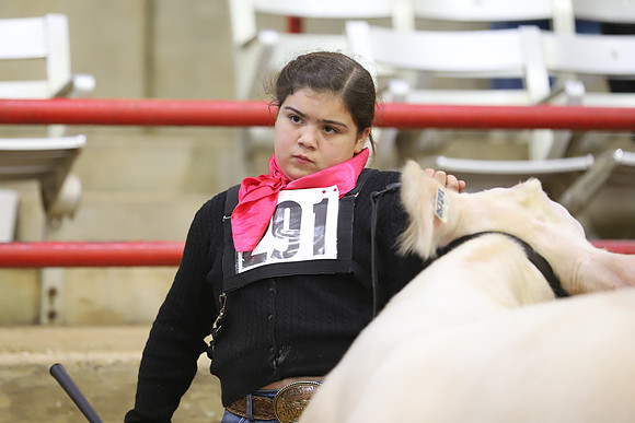 East Texas State Fair - Steer Show-013