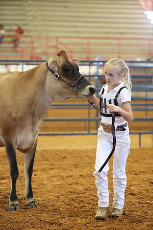East Texas State Fair - Dairy Show-122
