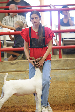 East Texas State Fair - Goat Showmanship-074