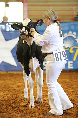 East Texas State Fair - Dairy Show-335