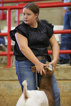 East Texas State Fair - Goat Show-079
