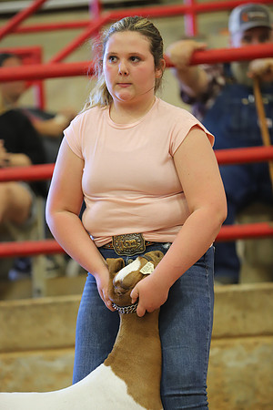 East Texas State Fair - Goat Show-116