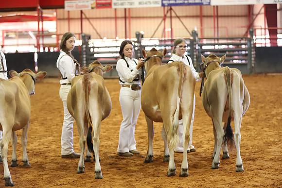 East Texas State Fair - Dairy Show-155