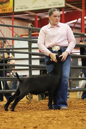 East Texas State Fair - Goat Showmanship-120
