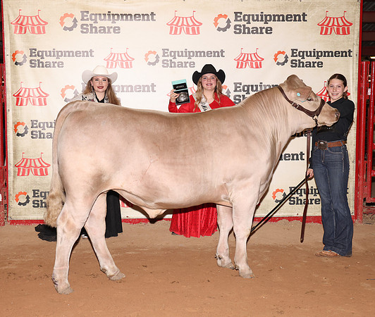 SteerShowmanshipJr