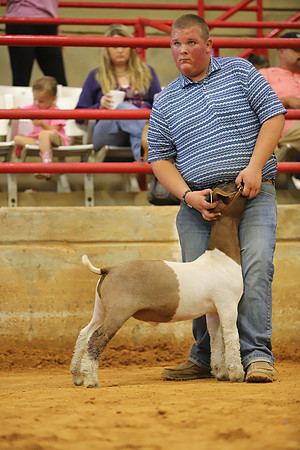 East Texas State Fair - Goat Show-034