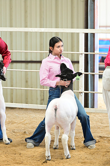 HNP_9501