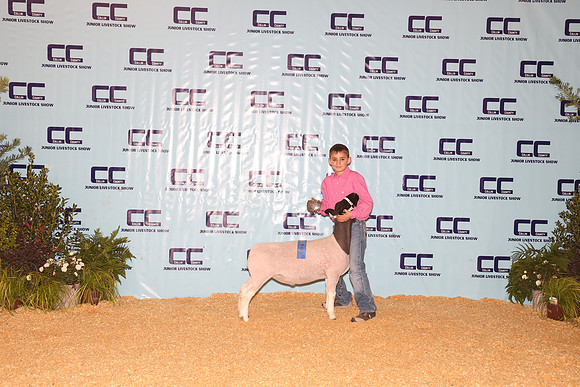 Champ Dorper Gray Dillard