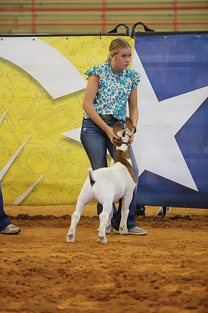 East Texas State Fair - Goat Showmanship-058