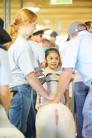 SJCFR_SpecialHearts-045