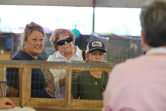 EastTexasStateFair-RabbitShow-06