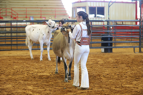 East Texas State Fair - Dairy Show-036