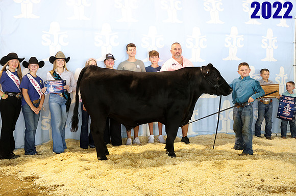 Lot 11