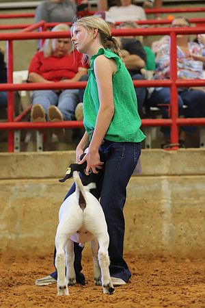 East Texas State Fair - Goat Showmanship-138