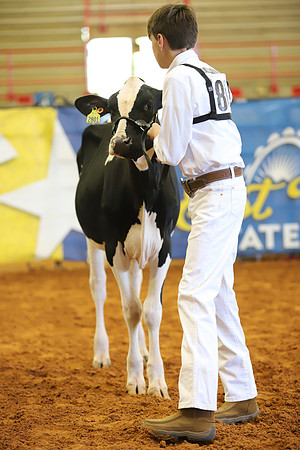 East Texas State Fair - Dairy Show-334