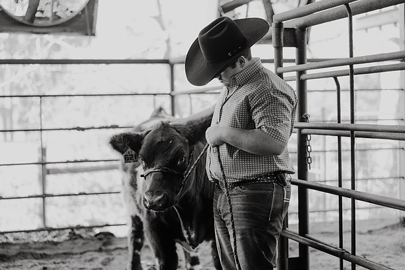 KK-16