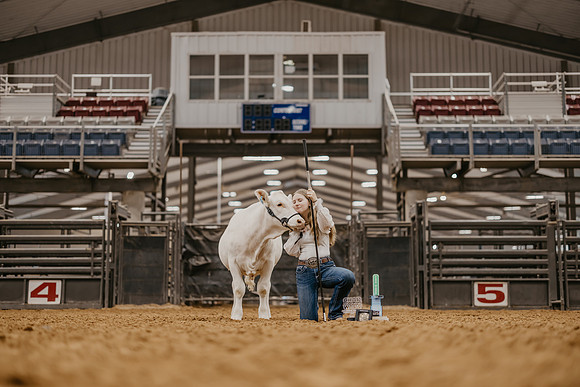 state Show-11