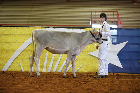 East Texas State Fair - Dairy Show-382