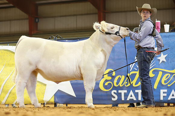 East Texas State Fair - Steer Show-051
