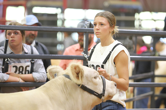 East Texas State Fair - Steer Show-053
