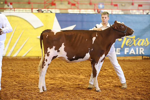 East Texas State Fair - Dairy Show-221