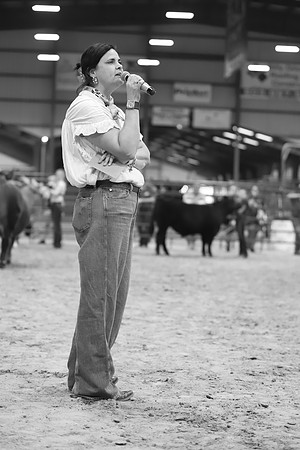 East Texas State Fair - Steer Show-004