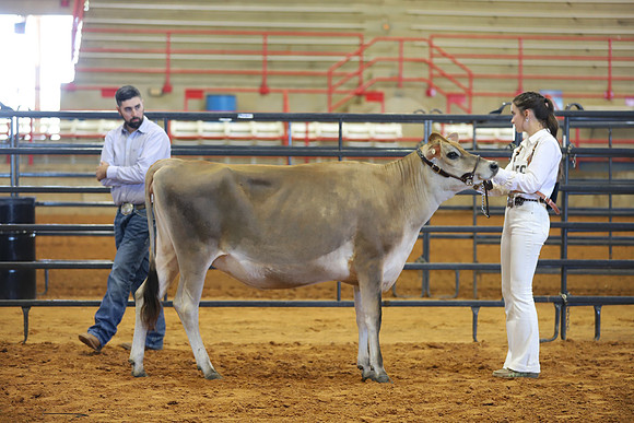 East Texas State Fair - Dairy Show-040