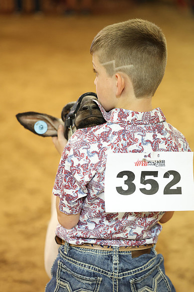 2L6A2515