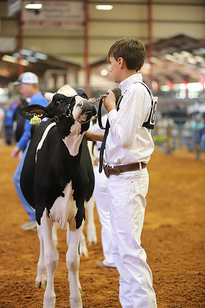 East Texas State Fair - Dairy Show-287