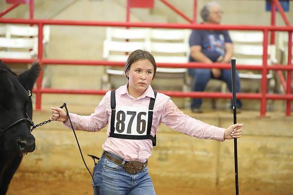 EastTexasStateFair-BritishHeiferShowmanship-63