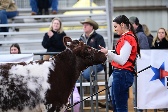 DSC_4279