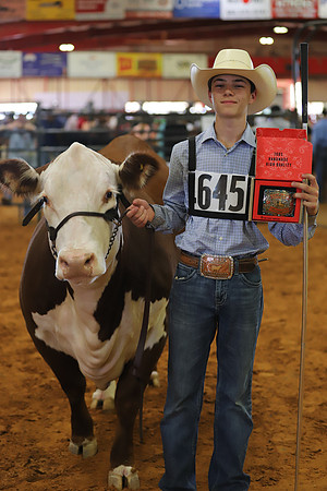 EastTexasStateFair-BritishHeiferShowmanship-38