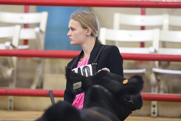 EastTexasStateFair-BritishHeiferShowmanship-33